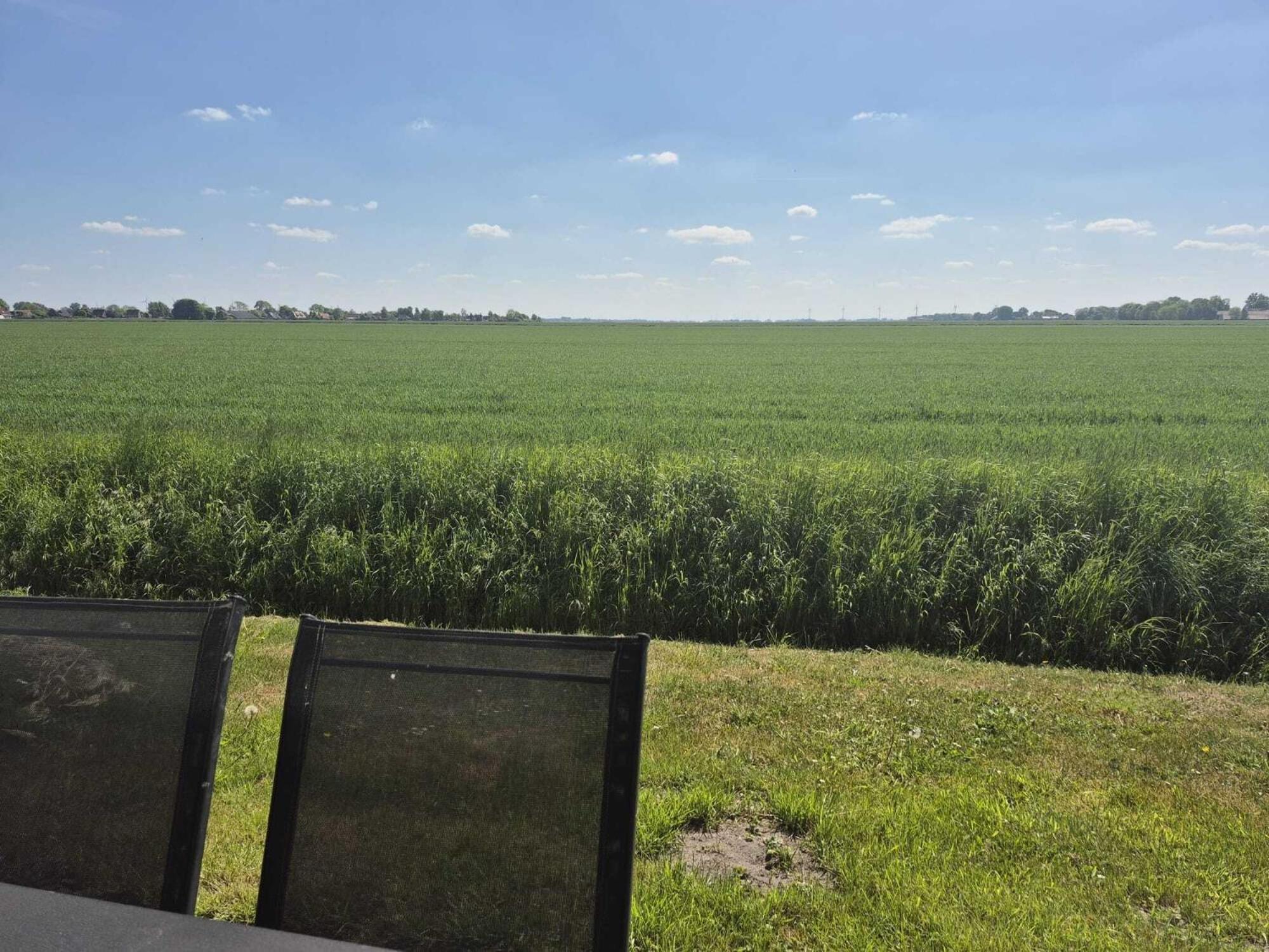 Ferienhaeuser Freiblick Ditzumerverlaat Extérieur photo
